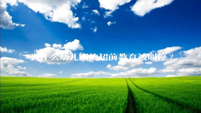为什么幼儿园的超前教育被叫停?